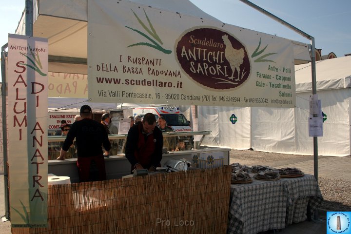 Area Fiera (366).JPG